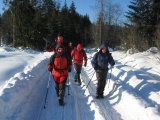 Babia hora